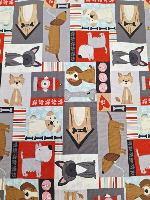 Paw-aw-sitively awesome - niches 262